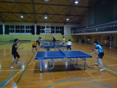 �싅�����K���i�i2013�N�x�j